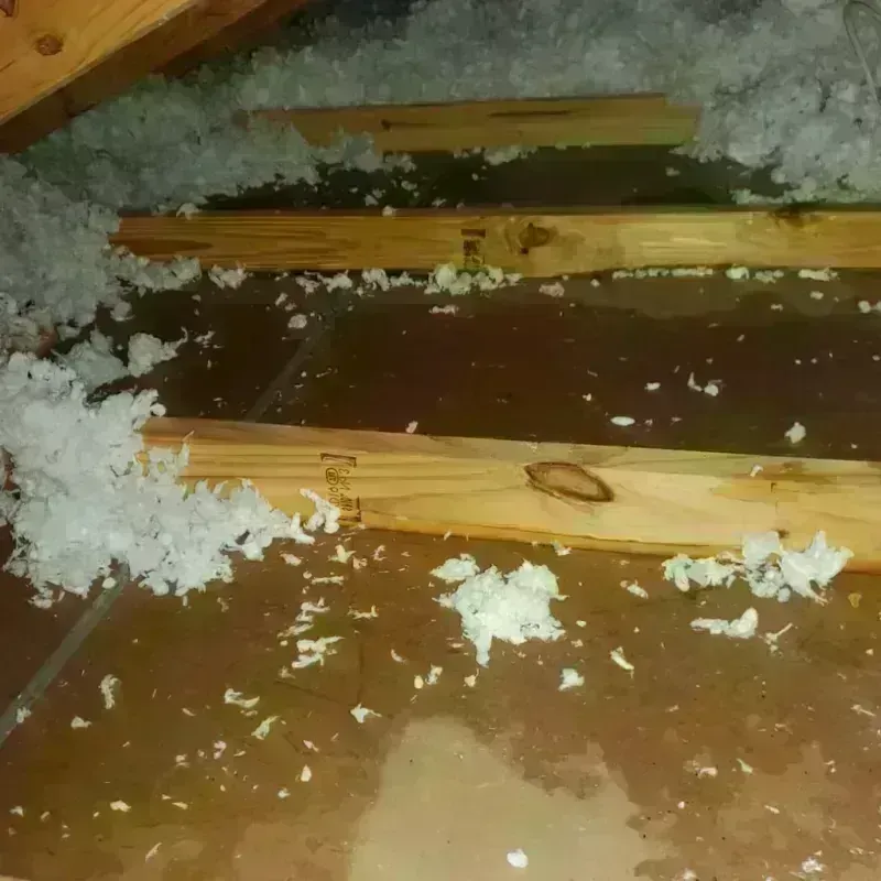 Attic Water Damage in Lakeland, TN