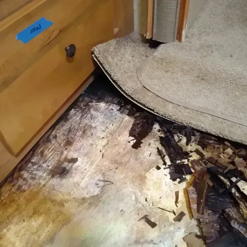 Wood Floor Water Damage in Lakeland, TN